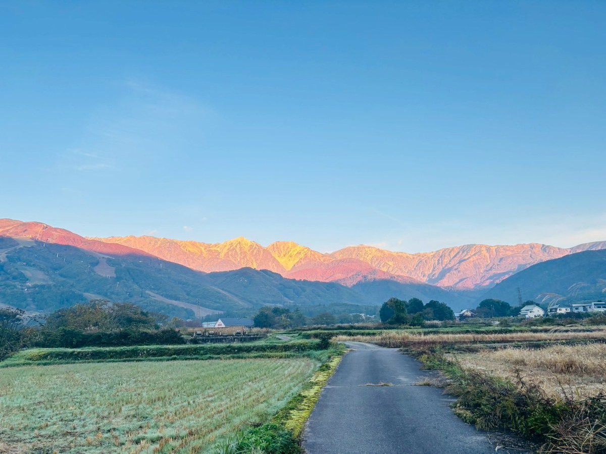 justonestep2025's tweet image. Hello November 🍂
A new path, a new light —
let’s walk forward with hope🌿✨

📍Hakuba, 🇯🇵

#HelloNovember #PositiveVibes #AutumnColors #VisitJapan #BeautifulDestinations  #HappyWeekend