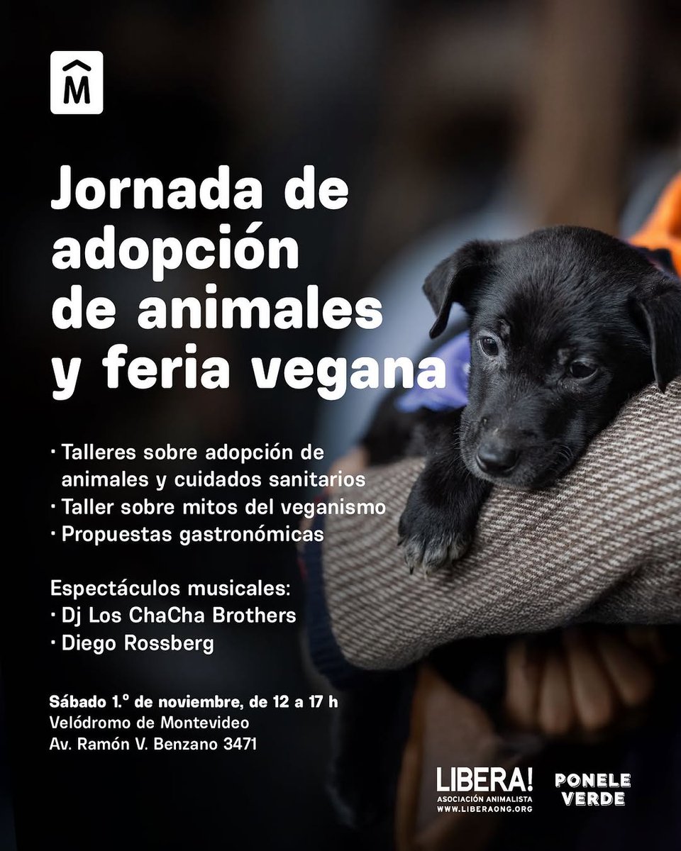 SÁBADO DE ADOPCIONES Y COLABORACIÓN CON <a href="/apaelrefugio/">El Refugio</a>, <a href="/LigaBichera/">Liga Bichera Montevideo Refugio</a> y 9 refugios más!
HOY los esperamos en el Velódromo de 12 a 17 horas. 
ENTRADA LIBRE.
No podés faltar, un montón de peluditos te van a dar la oportunidad de encontrar al mejor compañero de vida que puedas hallar.