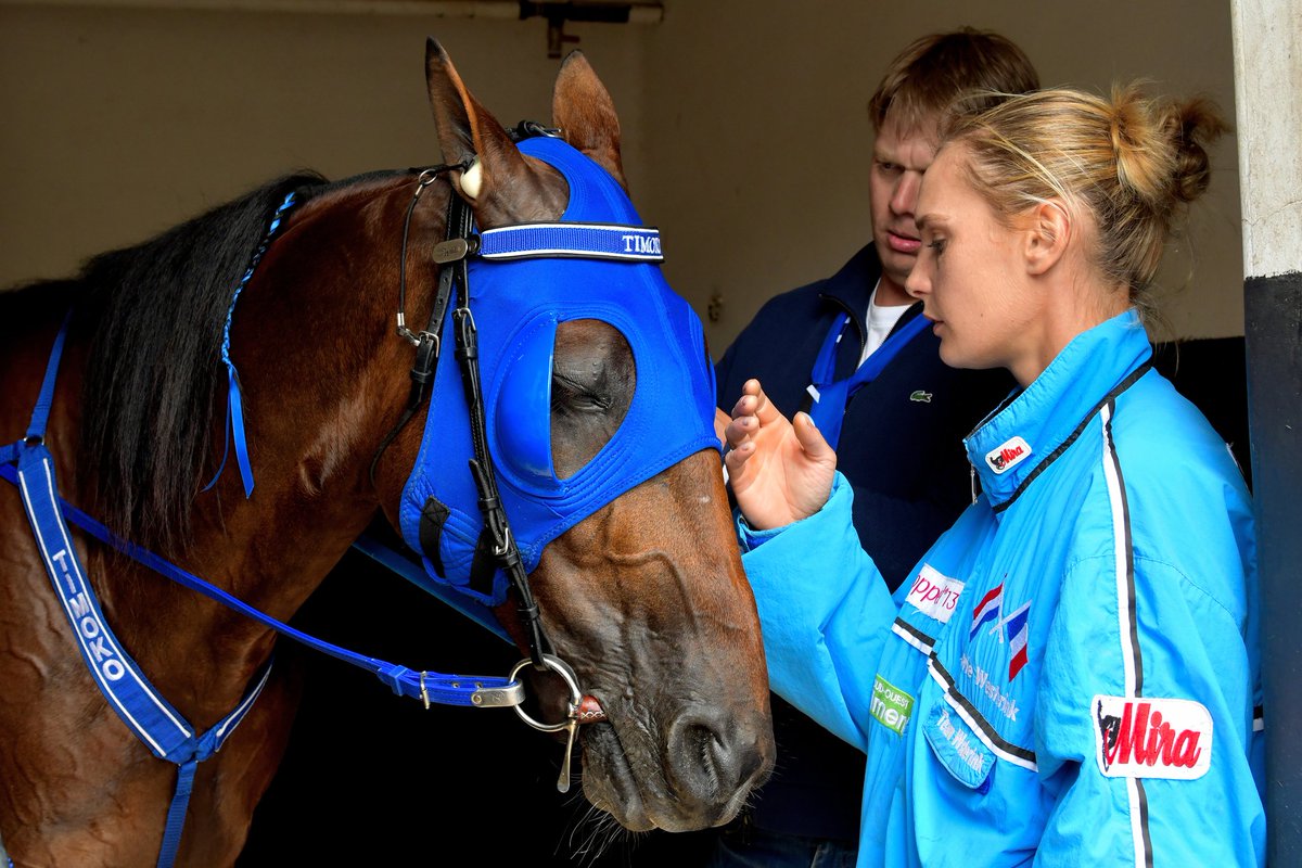 📸 <a href="/jllamaere/">JLL Photographe📷</a>