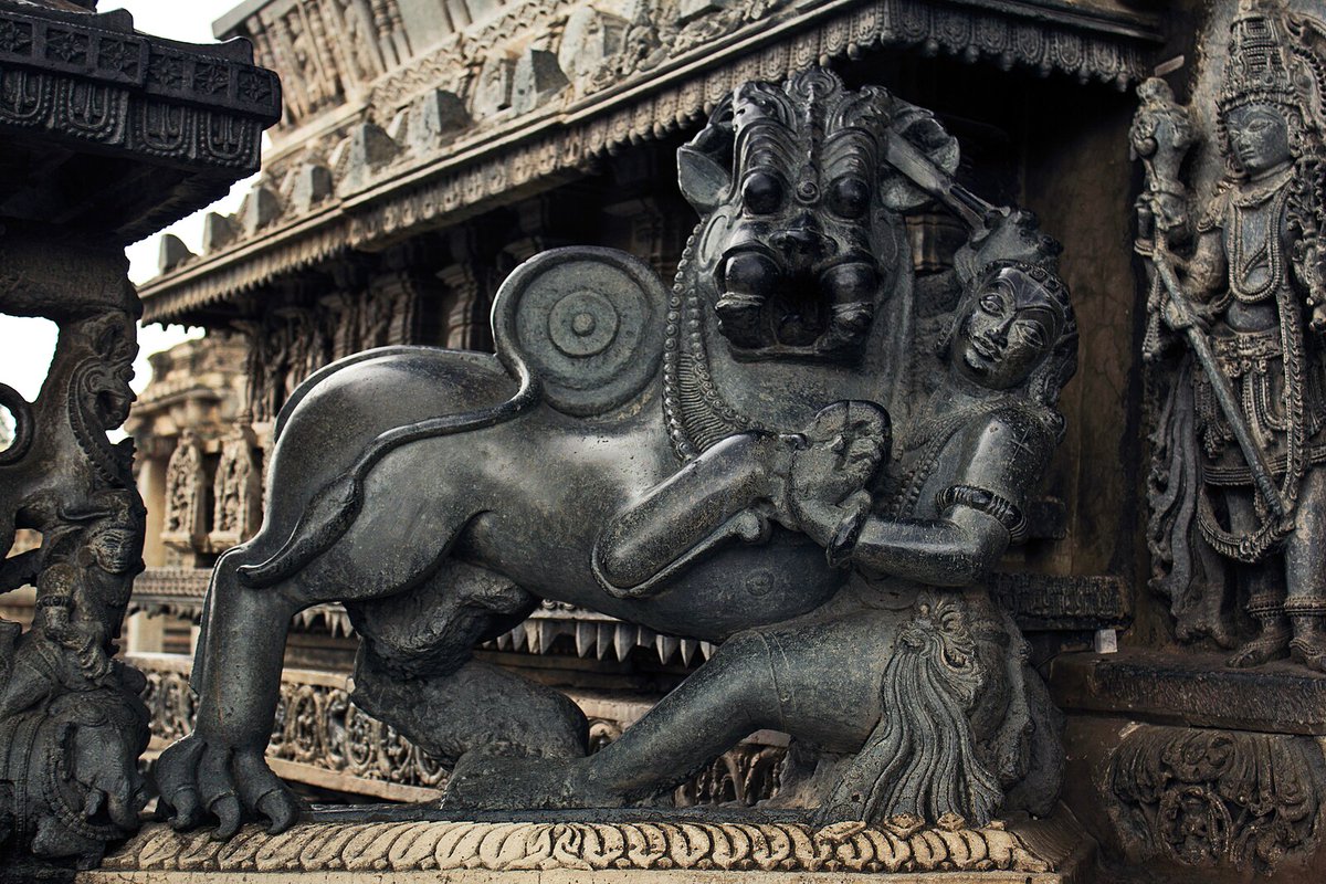 NeenaRai's tweet image. Unafraid of Tigers and Lions ~ How to Develop Immunity to Fear

There is a fascinating story about the start of the Hoysala Dynasty. And how fearless men carved themselves respect and dynasties through their bravery. 

In a period of uncertainty, there was a need for a ruler to…