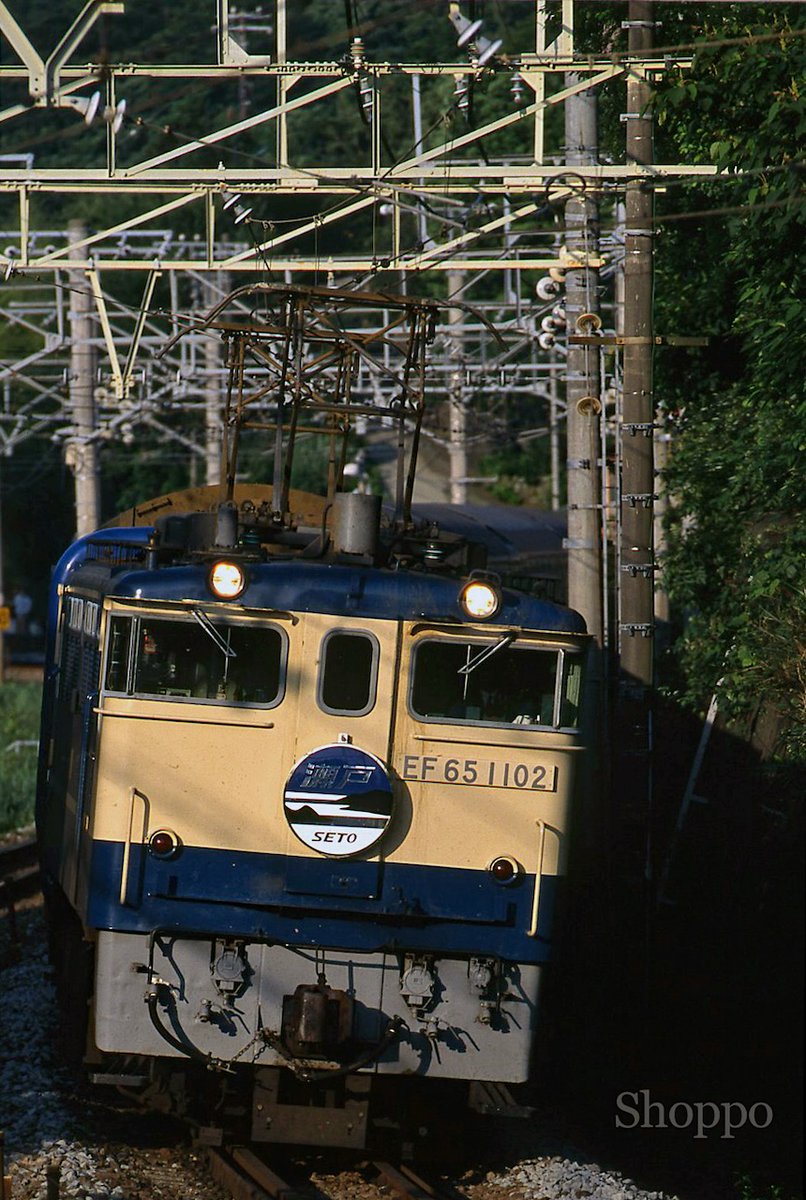 ショッポー (@shopposan0529) / Posts / X