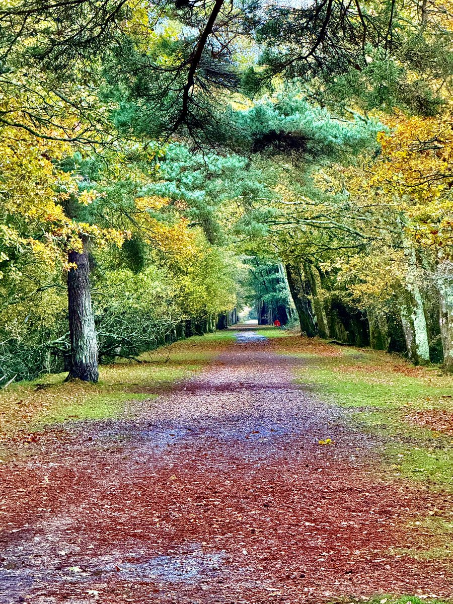 Simon Jenkinson tweet media