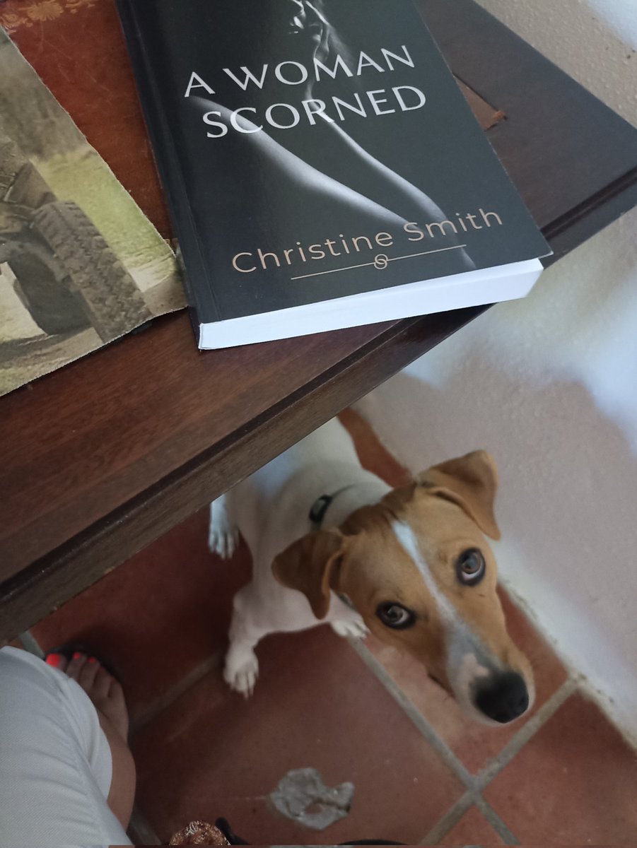 Christi23164082's tweet image. &quot;Are you alright, Mummy?&quot;
When I am writing I often talk out loud. On this occasion I was trying to think of a word, and spoke louder than usual causing Luca to look up at me with concern!
#writing 
#doglover 
#Concern