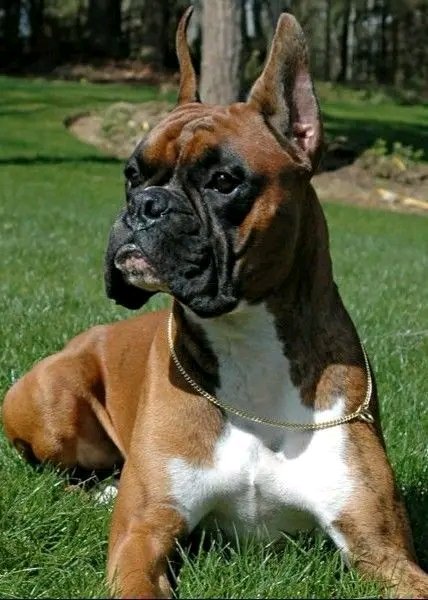 Great Photograph❤️