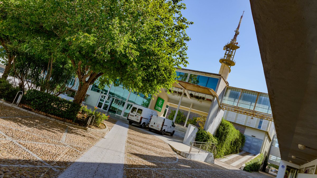 Canal Sur Televisión es la cadena que más crece en Andalucía y consigue su mejor octubre en 11 años, con un 9,3% de cuota

🌐 csur.red/eOMq50Xlk8c