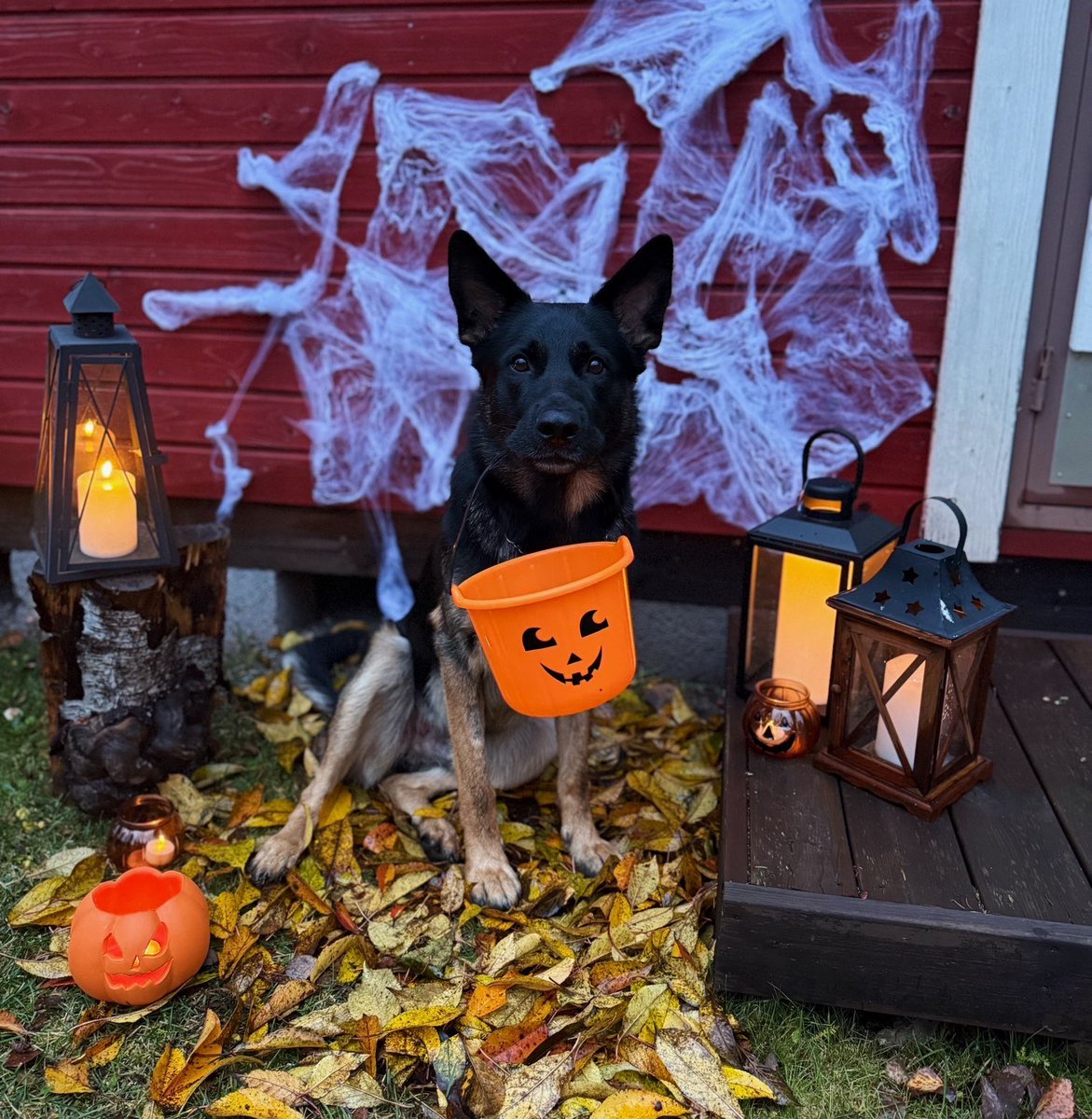 juti (@ajutiv) on Twitter photo 