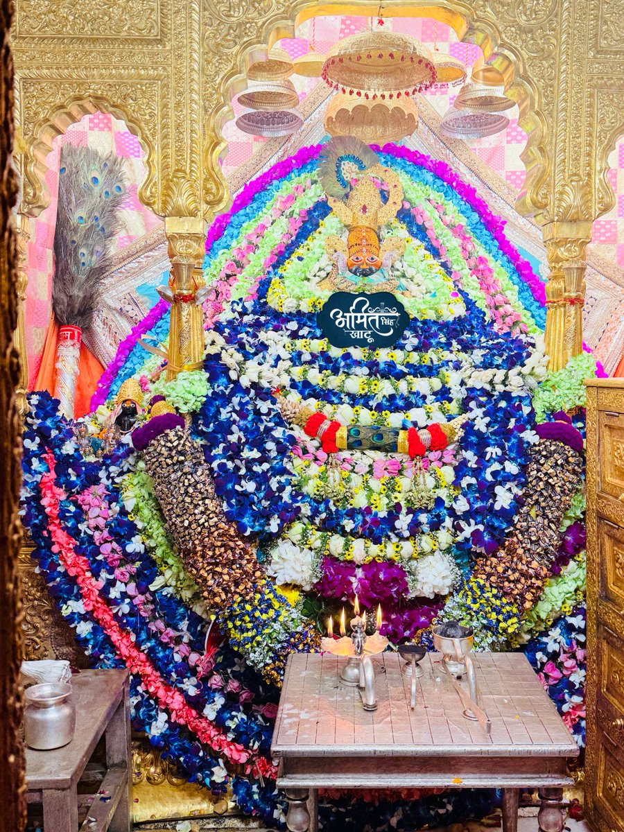 आज की आरती देवउठनी एकादशी पर मनमोहक विशेष श्रृंगार दर्शन ❤️🥳🎂…