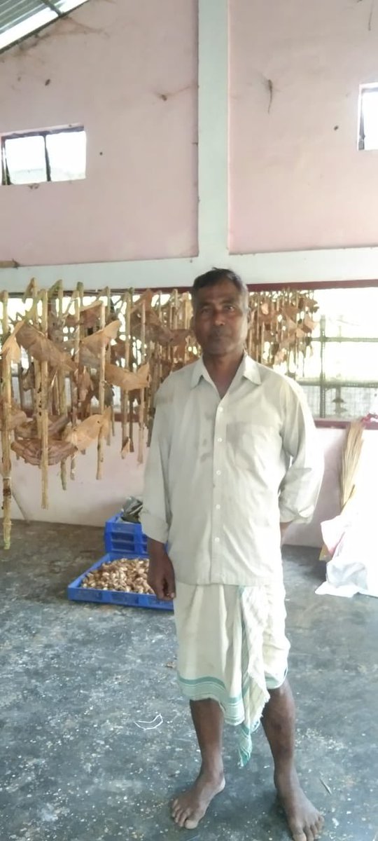 Inspiring efforts in Muga seed production by Registered Private Graineur Shri Ranjit Rabha under CSB MESSO P3 Adokgiri.
He has successfully produced 9000 g Muga DFLs for the Kotia commercial crop, contributing to the promotion of sustainable Muga sericulture &amp; strengthening rural