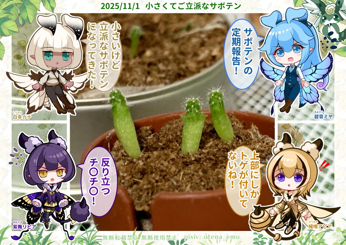 🦋.*アピリピ家庭菜園日記.*🐝2025/11/01

#家庭菜園 #日記 #イラスト #デフォルメ