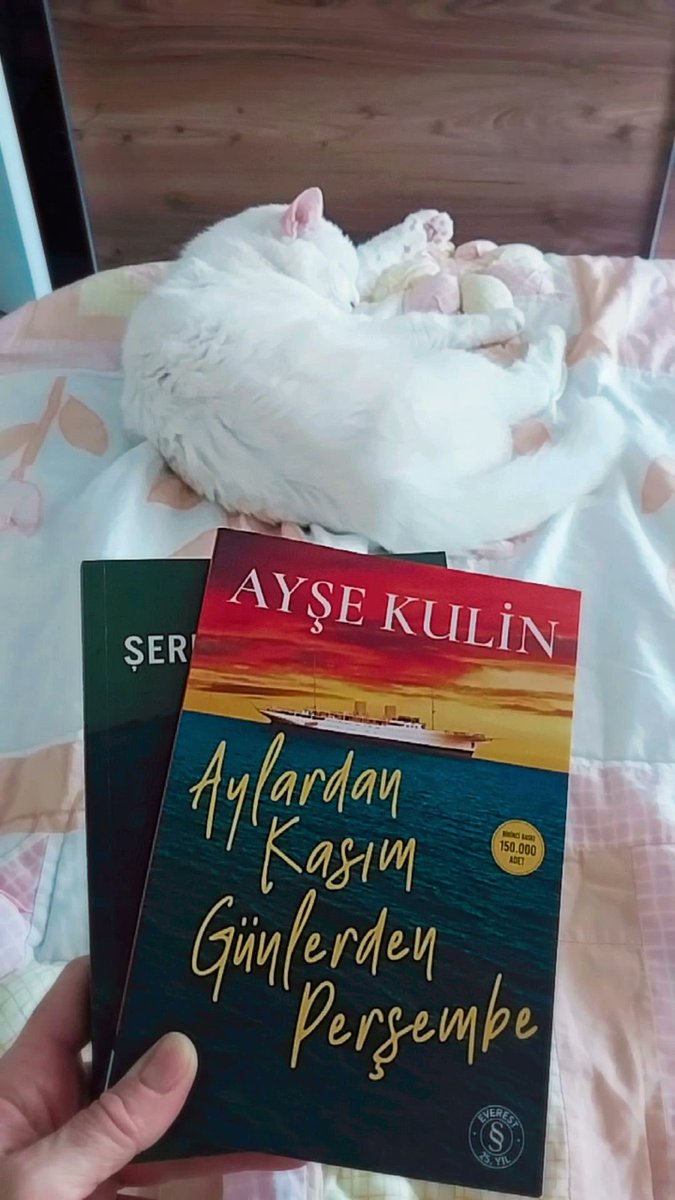 Ayol mushuk bilan sigaret chekadi va uzuklarni puflaydi Lisa Del porno