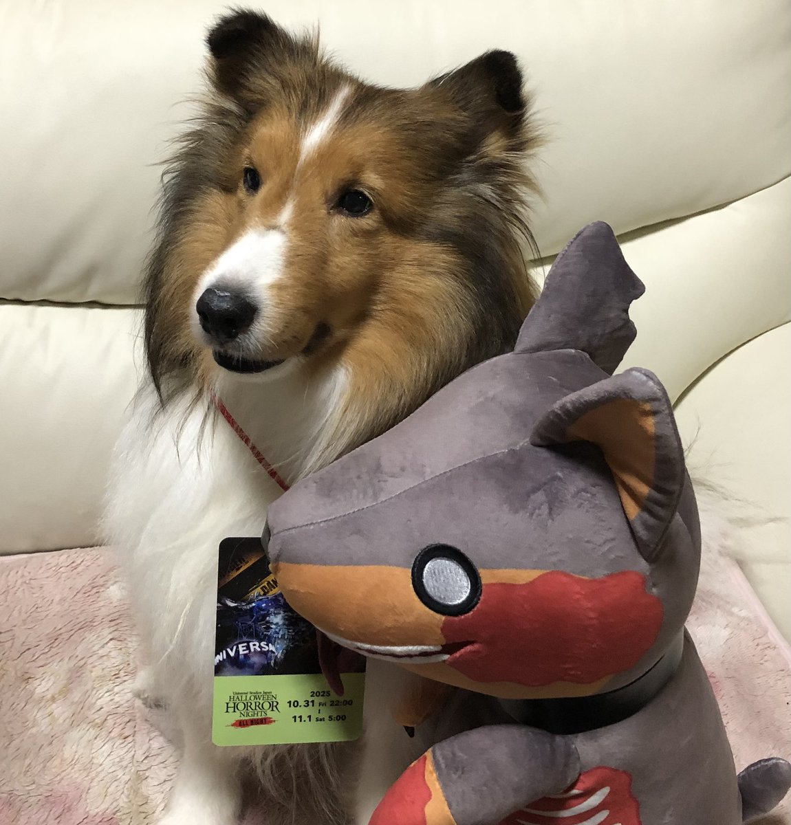 買いたかったゾンビ犬クッション、ゲット出来たので満足！