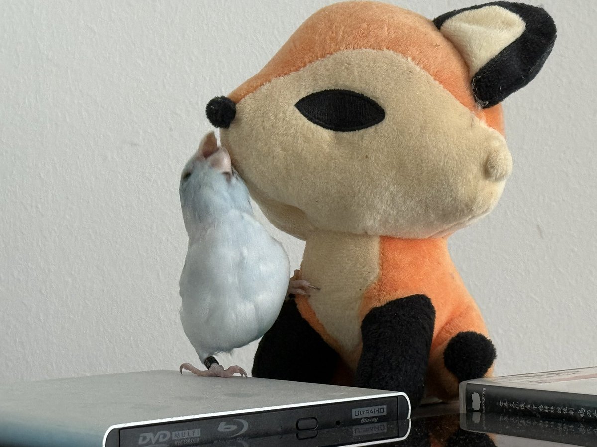 キセ (@kise12411119) on Twitter photo 