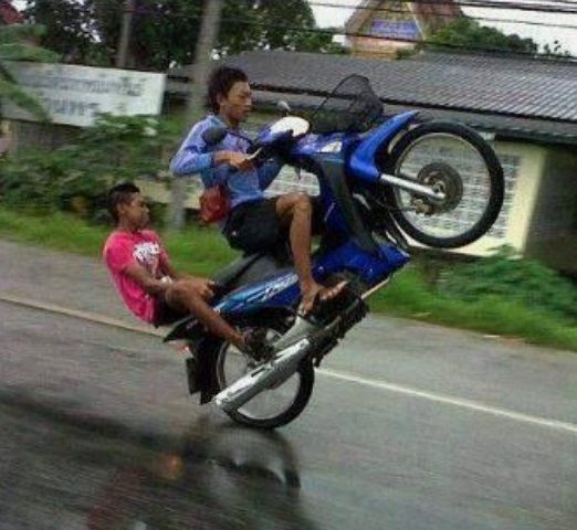 rabbitS2fox's tweet image. 나한테 약간 이런 느낌임

                    알빠노                              앨리즈