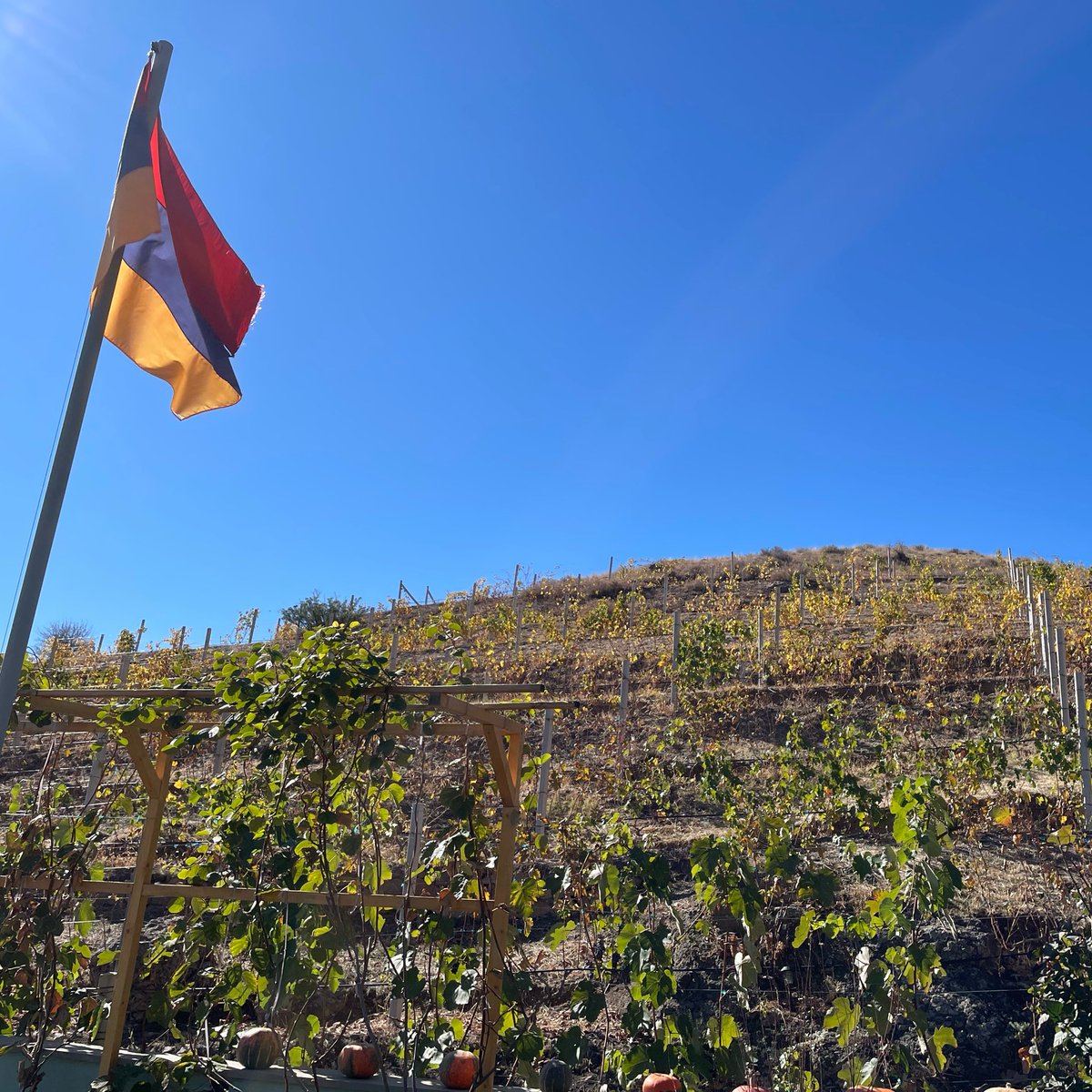 acheache's tweet image. Շնորհակալություն, #Армения! 8)