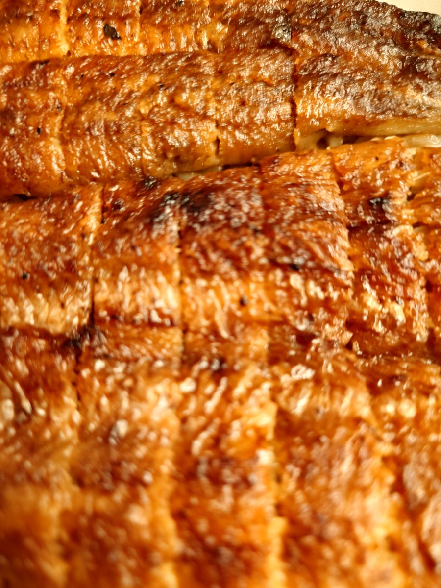 ★トークショーで鰻の話したらすっかり『ウナギの口』になってしまって、時速300キロで爆食中✌️

#コップ酒の話はしてない