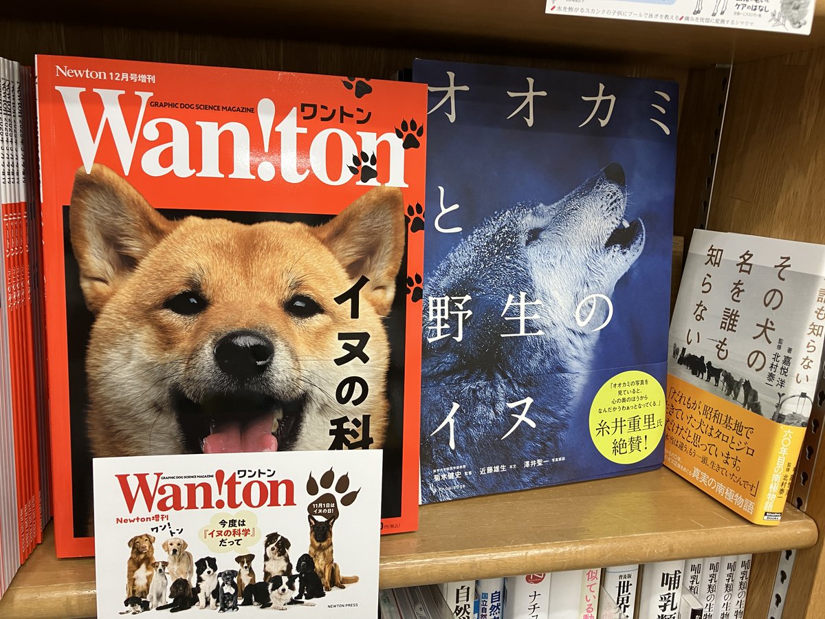 科学雑誌Newton（ニュートン）公式 (@Newton_Science) / Posts / X