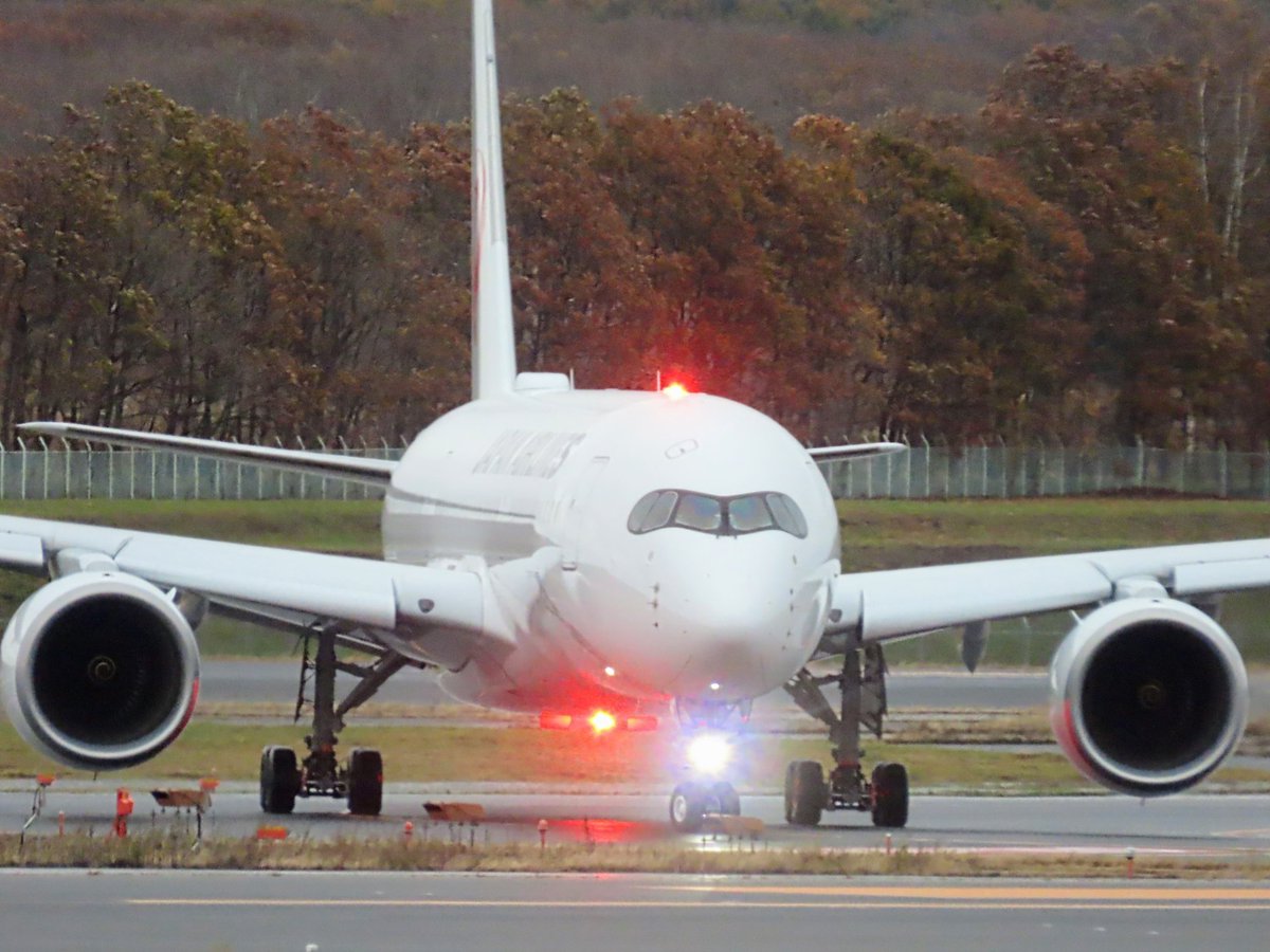 ao☆です JQ2580 adidas ZX 8000 atmos G-SNK 10 