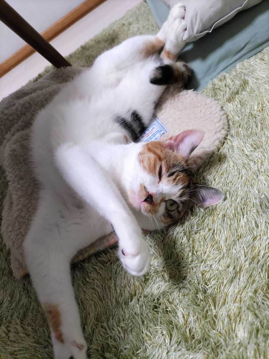 華*華❤️コメント逃げNG E6%88%A6%E4%BA%89%E5%8F%8D%E5%AF%BE