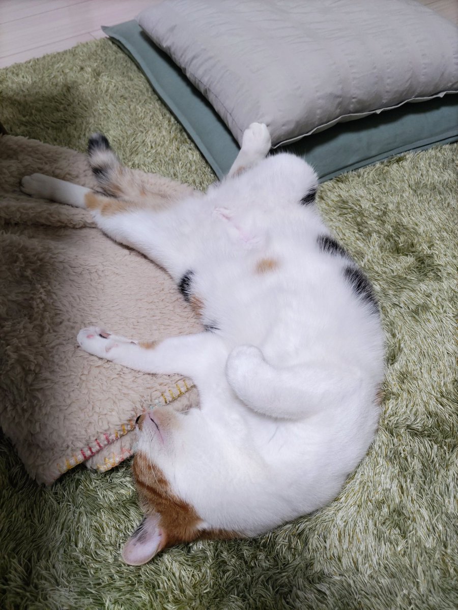 華*華❤️コメント逃げNG E6%88%A6%E4%BA%89%E5%8F%8D%E5%AF%BE