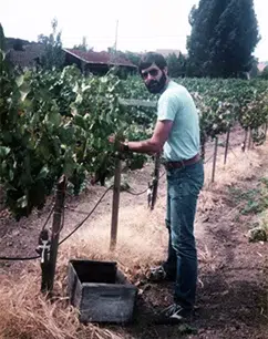 The Wine Company tweet media