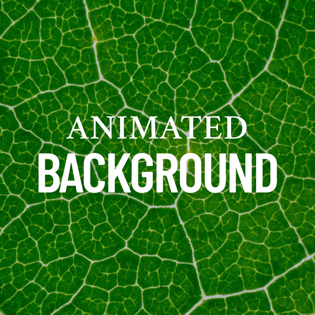 NewsDai37363262's tweet image. Animated Background
Get Code: cutt.ly/Vr5FHreq
#html #HTML5 #CSS #CSS3 #webdevelopment #webdevelopers #Coding #FrontEndLove #100DaysOfCode #background #animation #codingflicks #csstricks #cssanimation