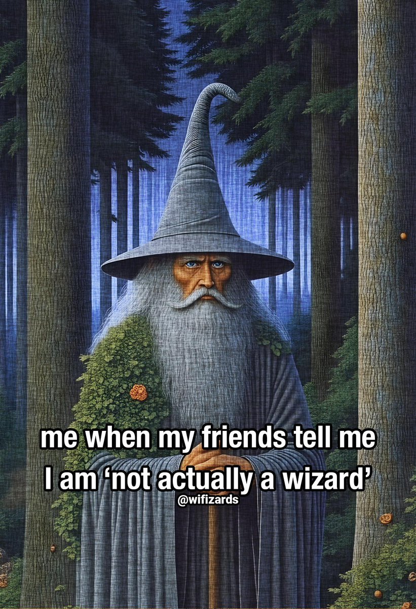 wifizards's tweet image. Dealing with muggles