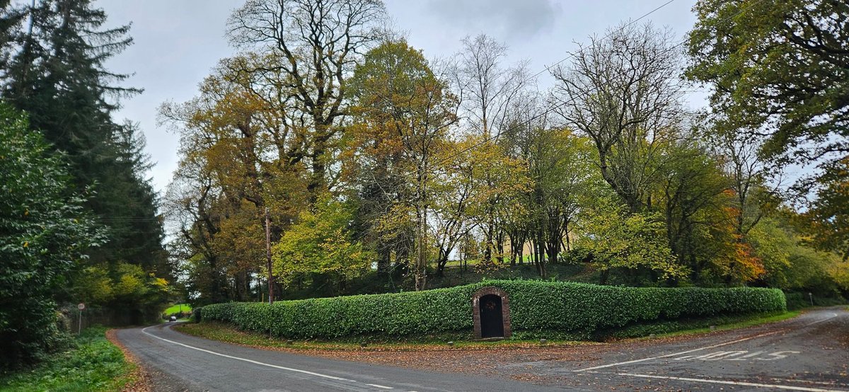 ThisIsIreland3's tweet image. 📍Out and about in beautiful, County Waterford ☘️💚

📸 Gary Walsh

#Waterford #Ireland #Coppercoast #Beauty