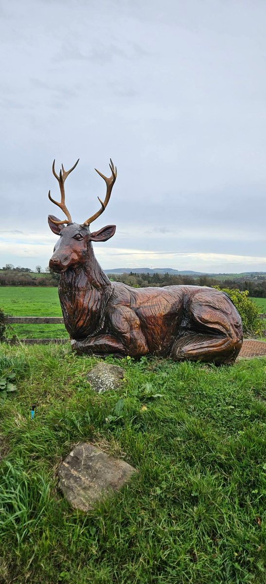 ThisIsIreland3's tweet image. 📍Out and about in beautiful, County Waterford ☘️💚

📸 Gary Walsh

#Waterford #Ireland #Coppercoast #Beauty