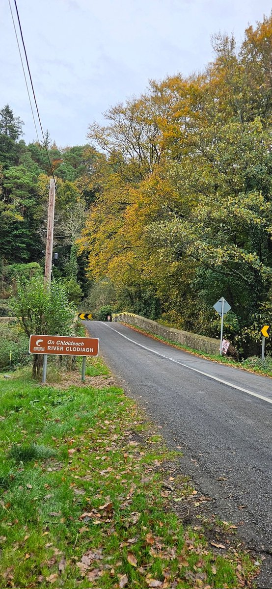ThisIsIreland3's tweet image. 📍Out and about in beautiful, County Waterford ☘️💚

📸 Gary Walsh

#Waterford #Ireland #Coppercoast #Beauty