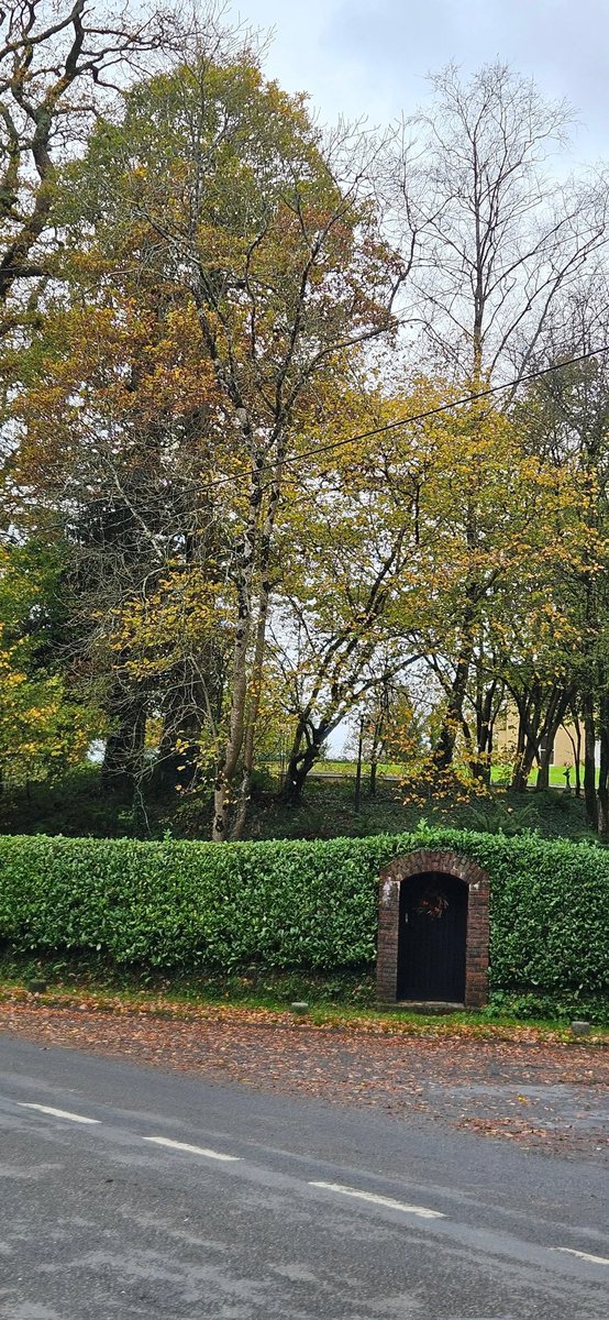 ThisIsIreland3's tweet image. 📍Out and about in beautiful, County Waterford ☘️💚

📸 Gary Walsh

#Waterford #Ireland #Coppercoast #Beauty