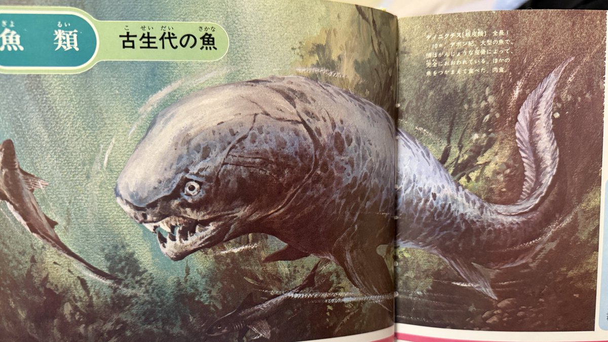 盾の国の建物(生物体) 博物倶楽部（公式） on X