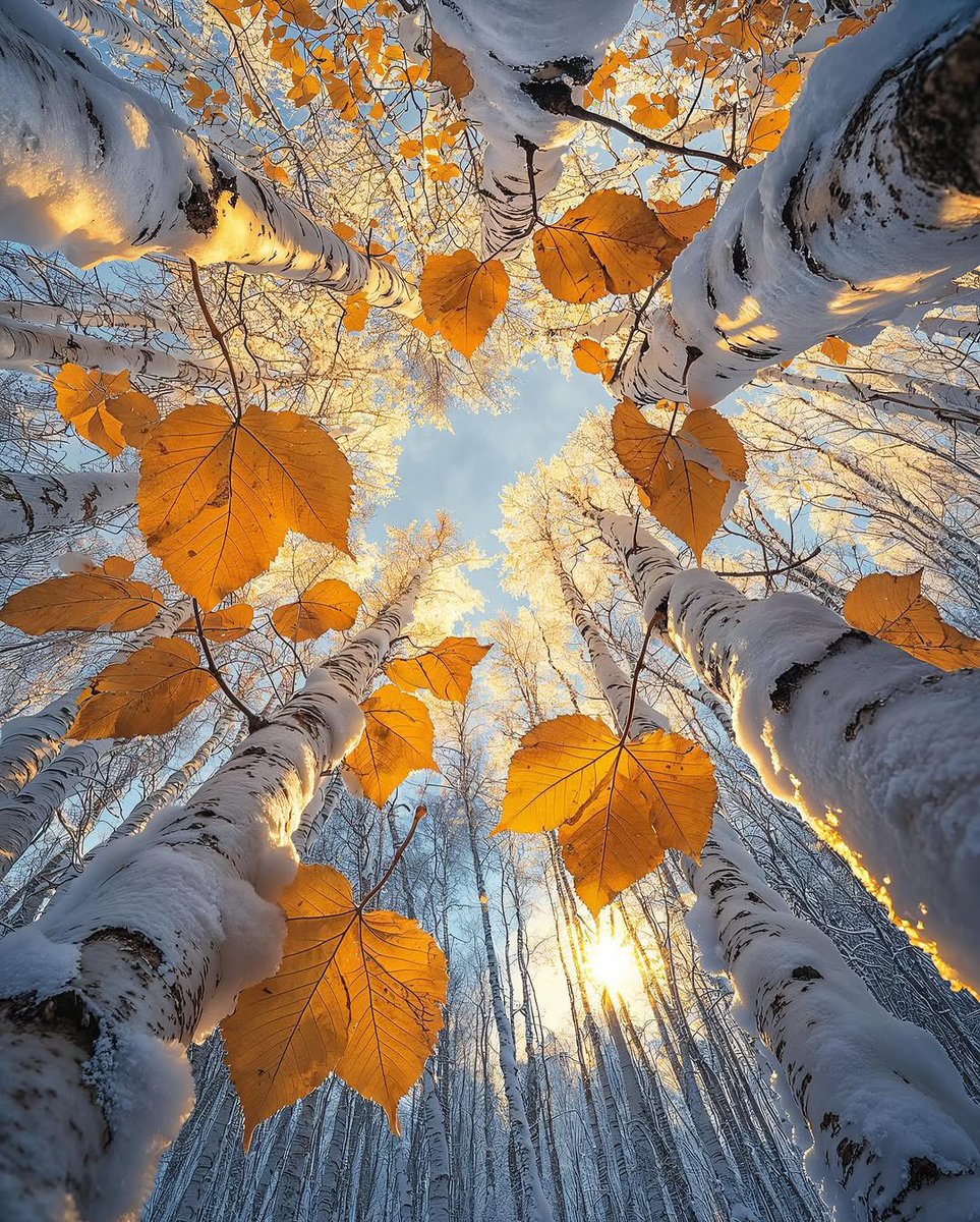 Hello Everyone! 🧡🤍🍁🍂 Have a beautiful day 💞🌸💕