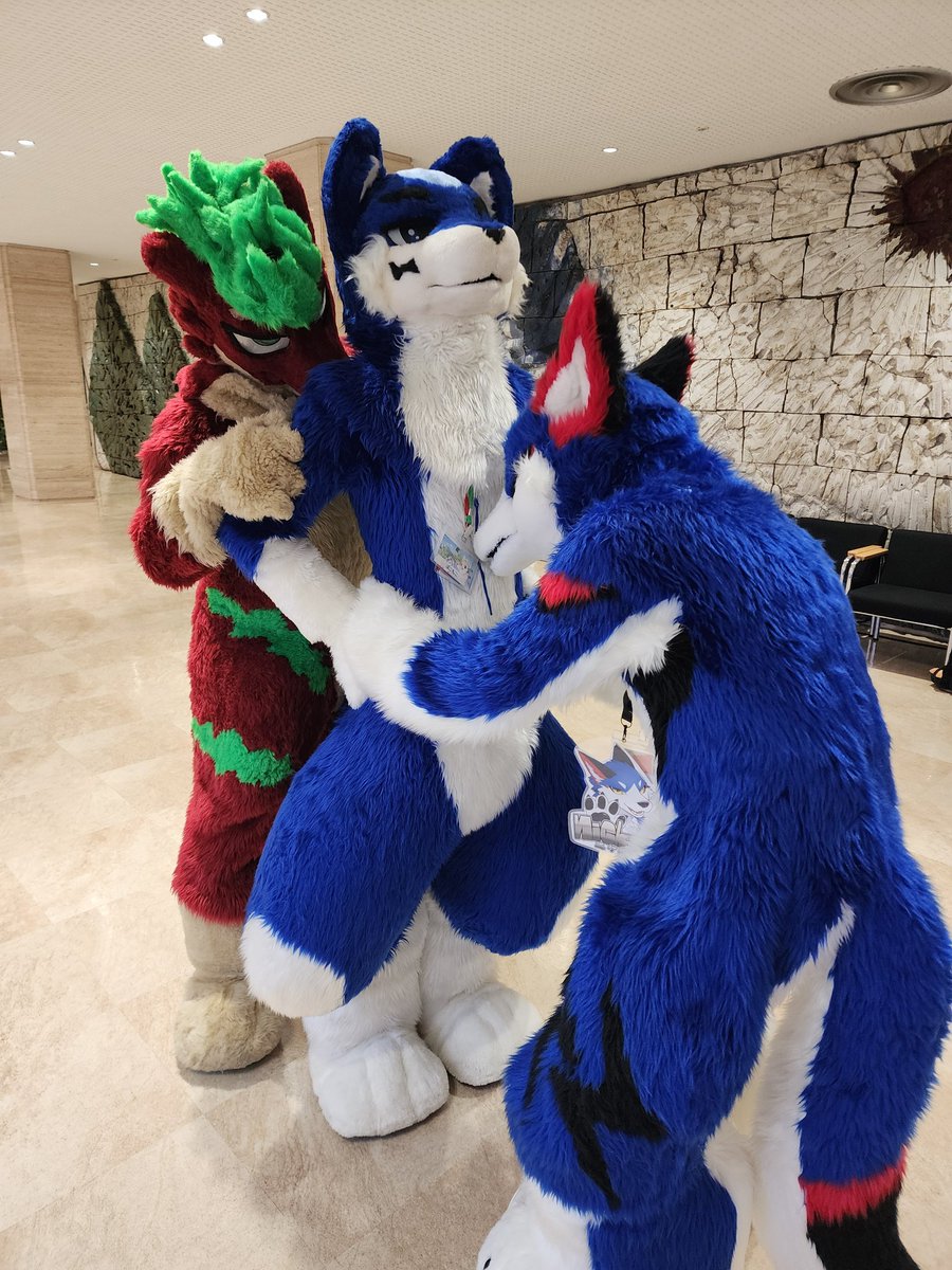 ガジマル (@2929gazimaru) / Posts / X