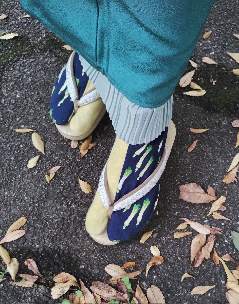 海ねこ 楽天市場】猫 ネコトイレ キャットトイレ ペットトイレ 猫用