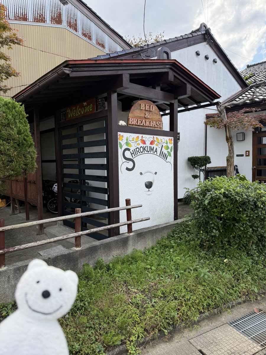nobuhille's tweet photo. クマ散歩：岩瀬に品行方正なクマ出没 The Bear hung around Iwase Area, Toyama！♪☆(^O^)／
#おでかけ #思い出 https://t.co/el5lzLtFhZ