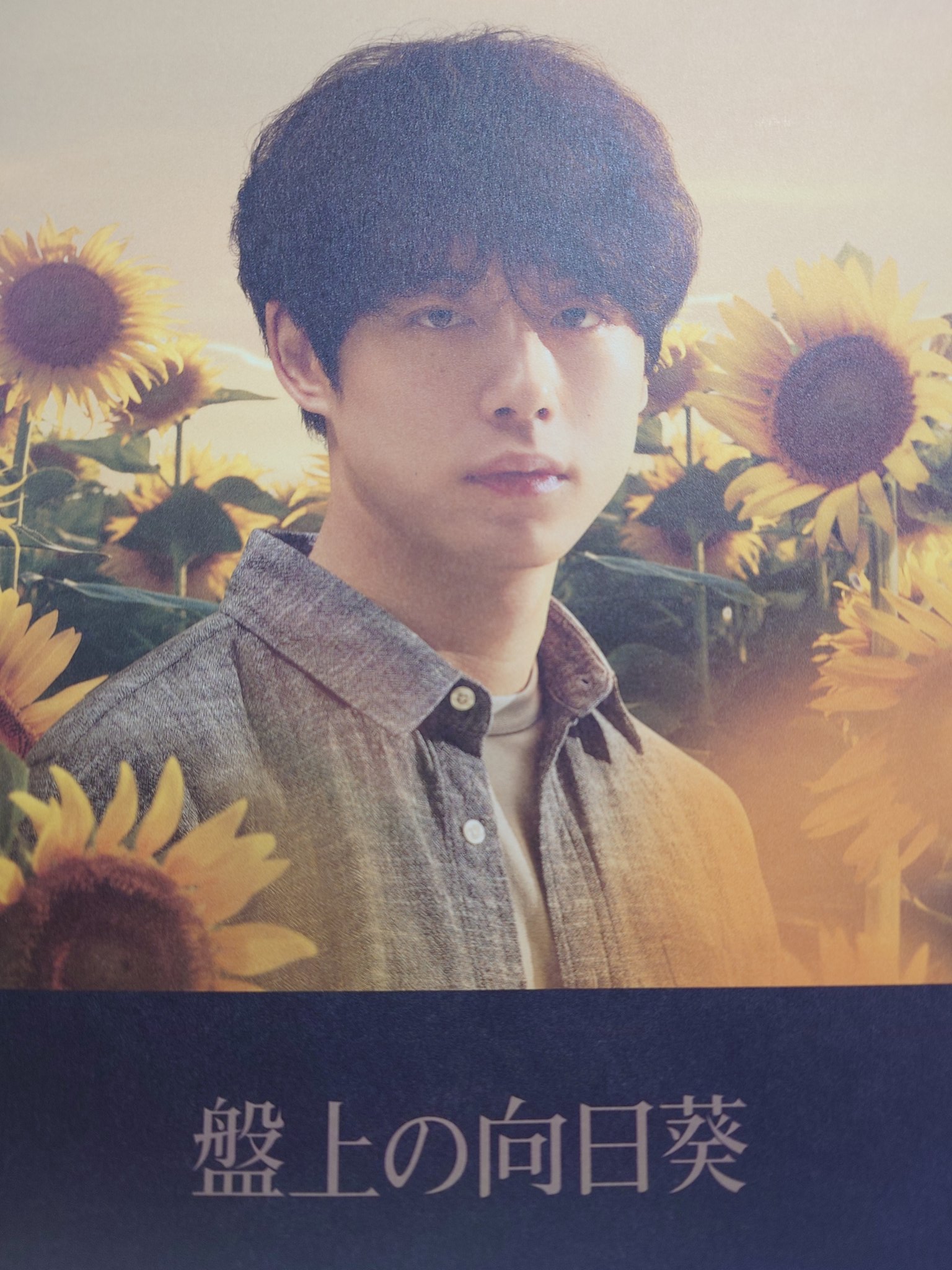 盤上の向日葵 - Search / X