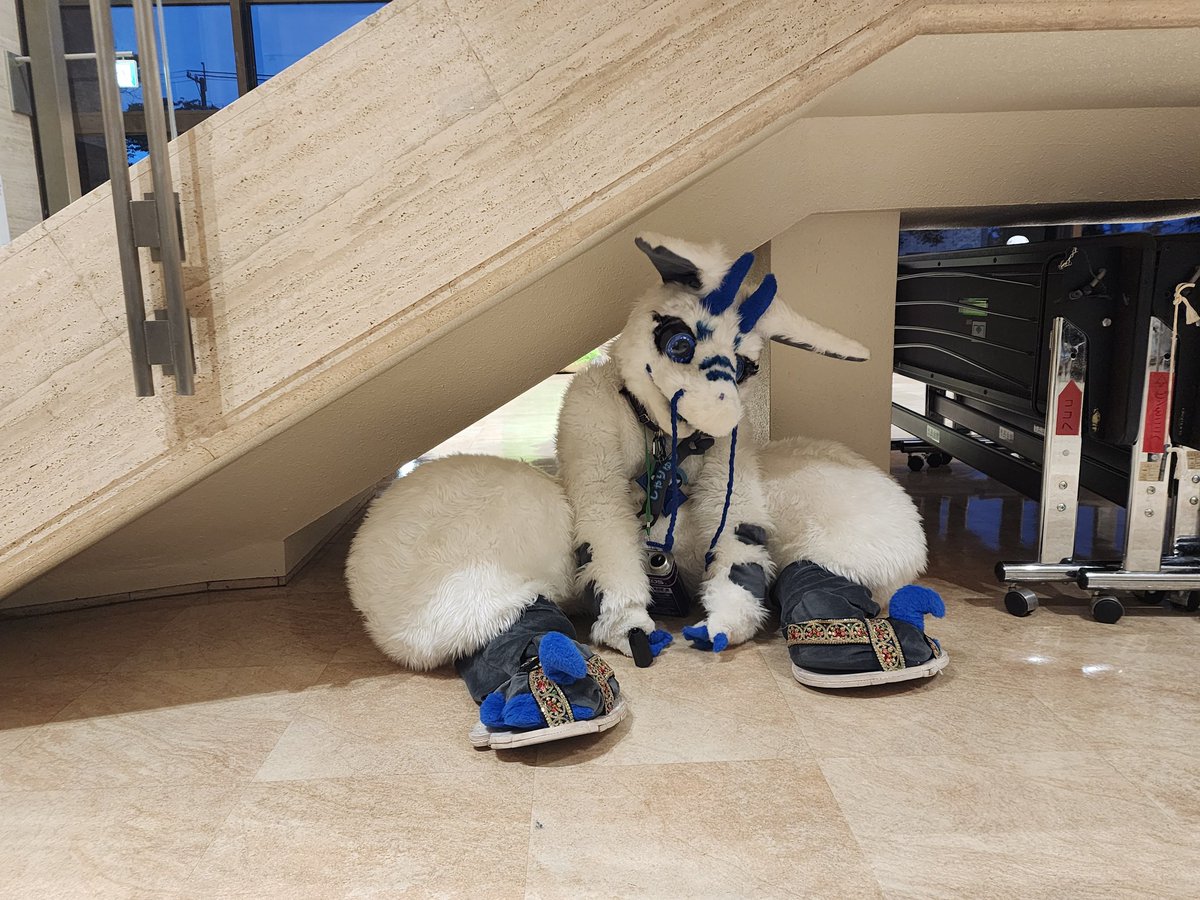 りゅーくん mqdefault.jpg