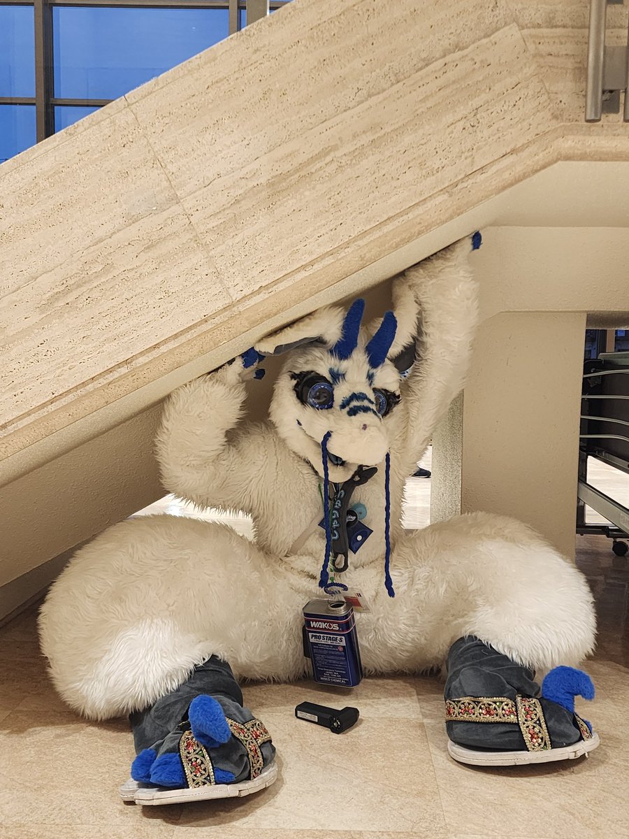 #ケモセン
かくれんぼするしゃりゅうくん