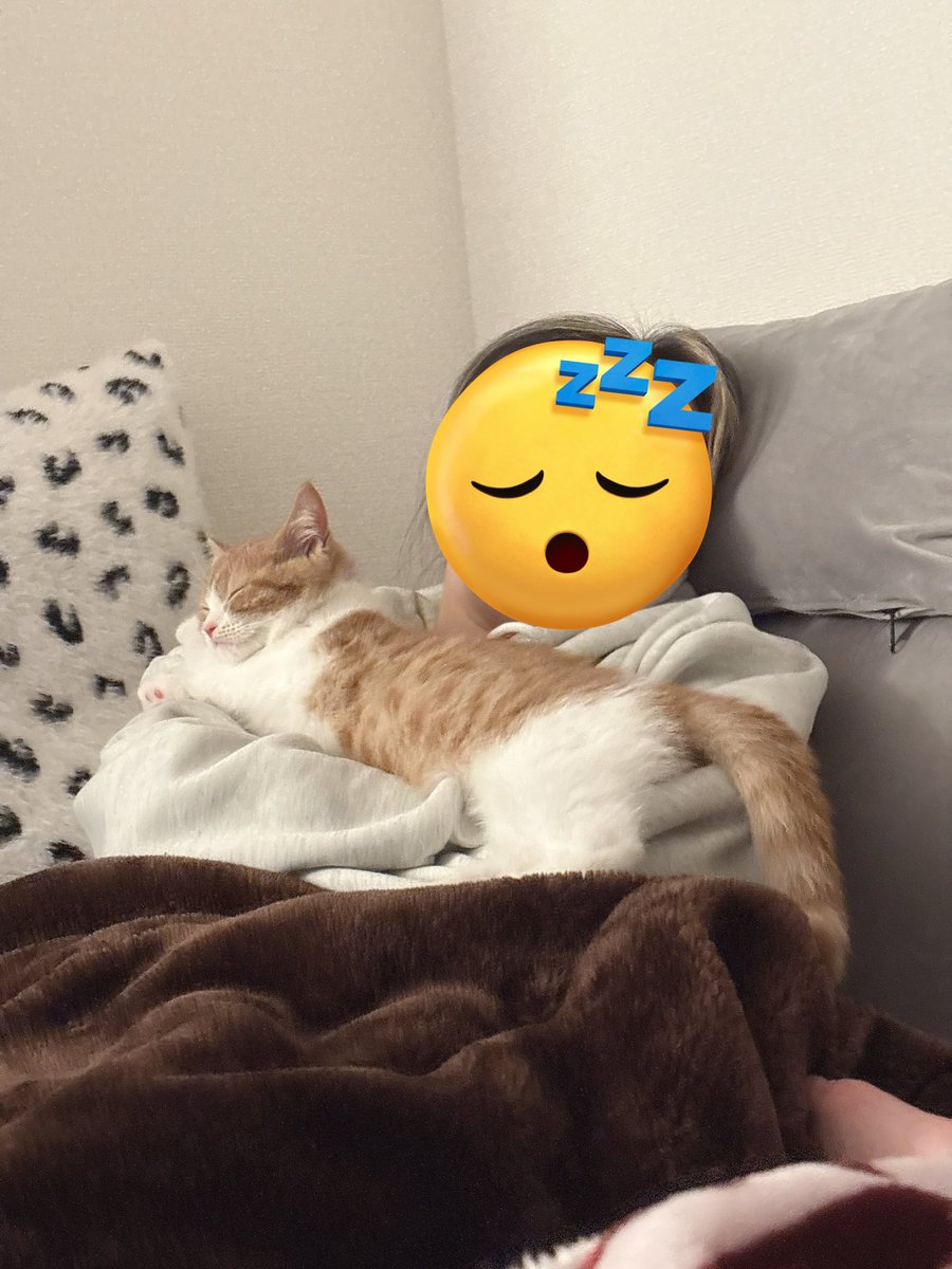 由凪（ﾕﾅ）🚗🚴‍♀️🏍 (@z32yuna) / Posts / X