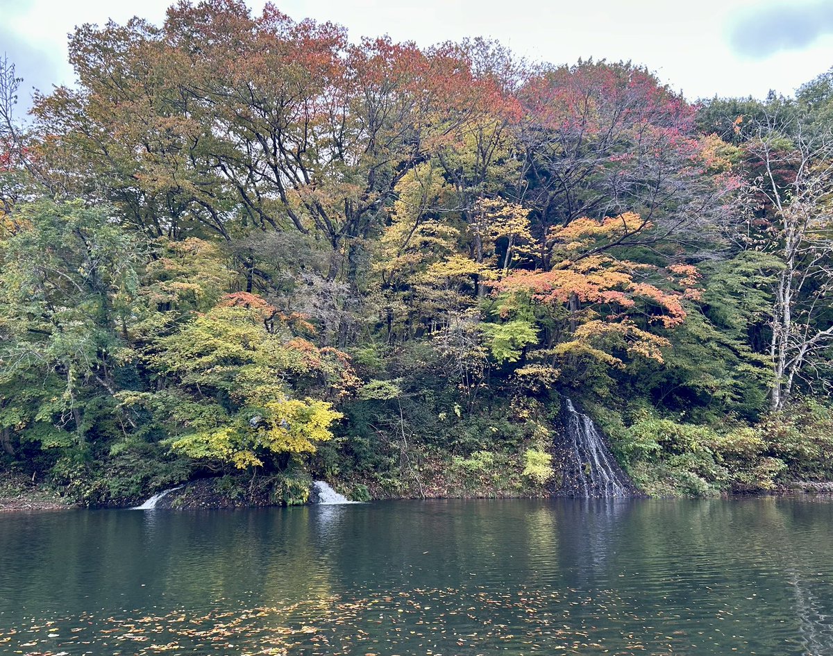 celsuper2's tweet image. 久々に福島県へ来ております

紅葉が進んでて良い感じだけど、尋常じゃなく寒いっすわ❄️