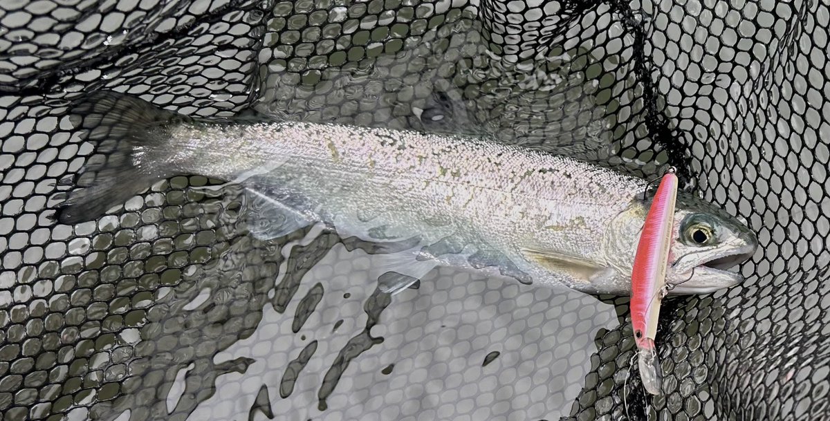 celsuper2's tweet image. 久々に福島県へ来ております

紅葉が進んでて良い感じだけど、尋常じゃなく寒いっすわ❄️