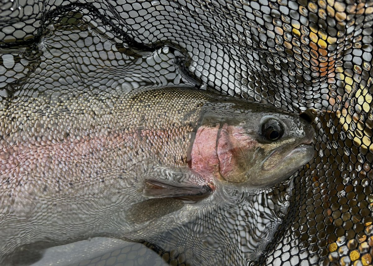 celsuper2's tweet image. 久々に福島県へ来ております

紅葉が進んでて良い感じだけど、尋常じゃなく寒いっすわ❄️