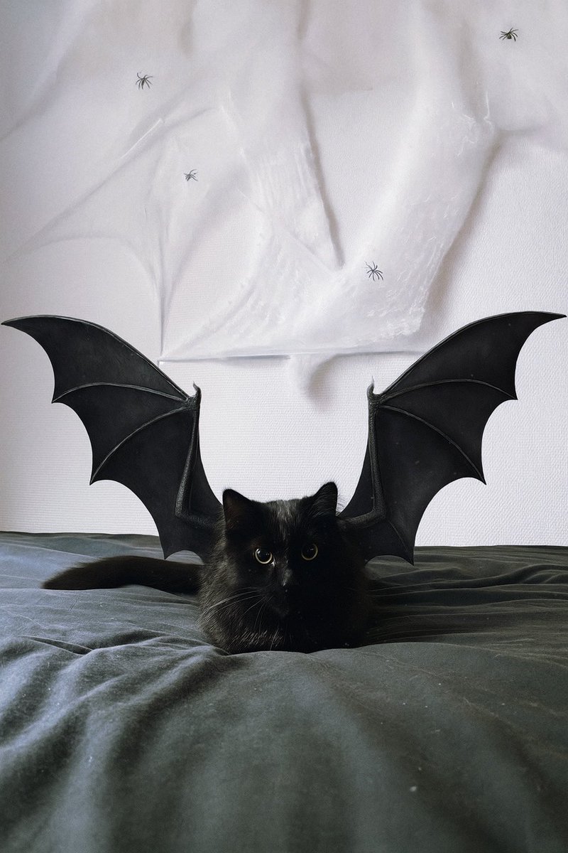 cosmo's first halloween