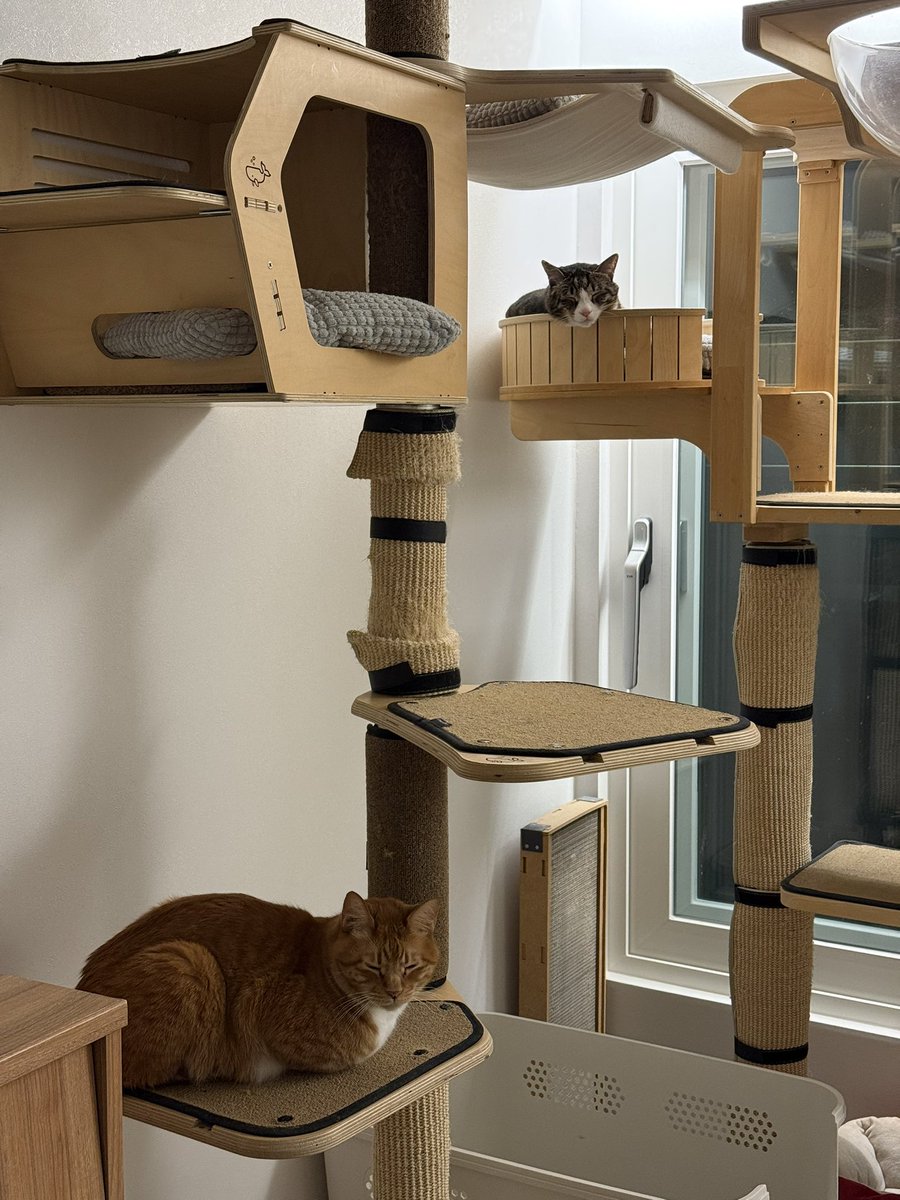 with_mgrk's tweet image. 