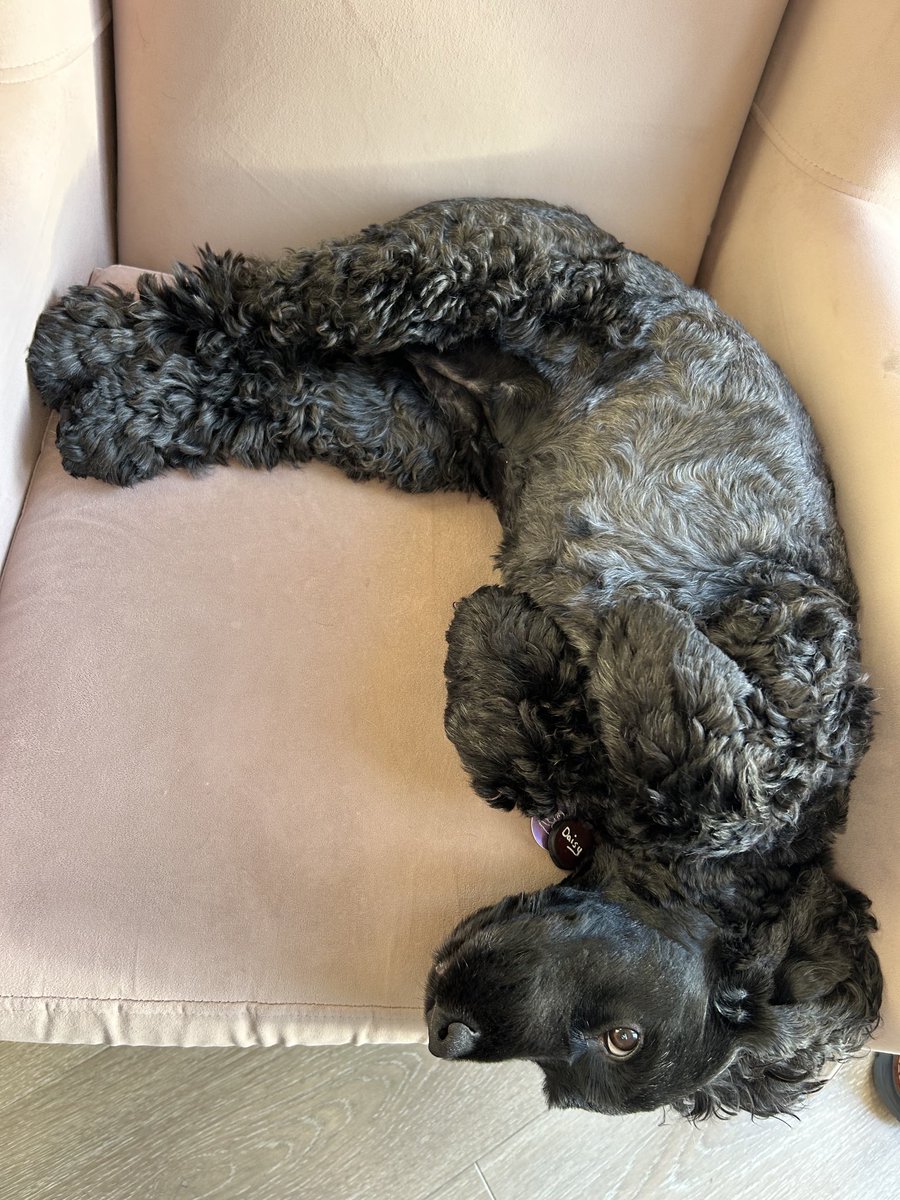 I don’t think you quite realise how exhausting it is being on holidays 🫣