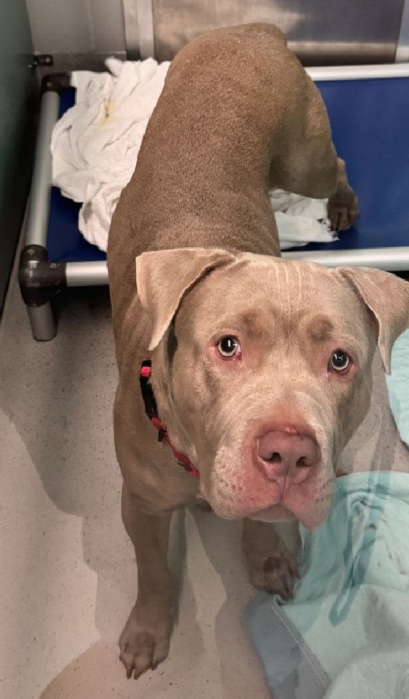 Julie🌻🐾 tweet media