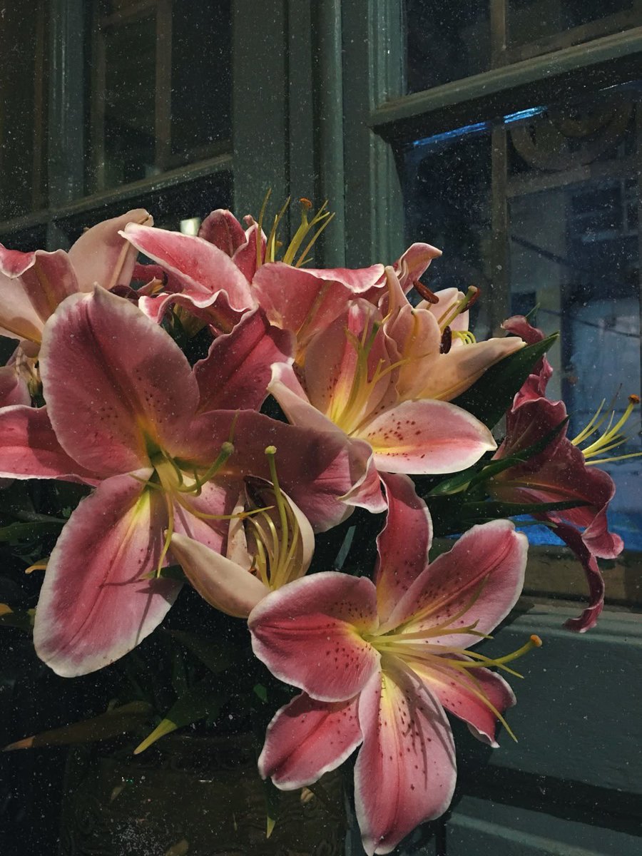 ✮⋆˙ (@dmugg7) on Twitter photo 