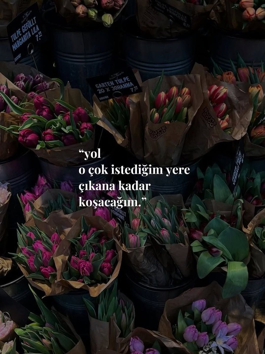 Edebiyat Cephesi (@edebiyatcephesi) on Twitter photo 