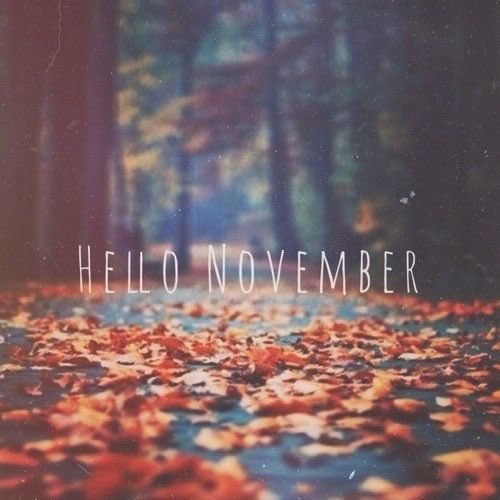 OakvilleMoms's tweet image. #hellonovember