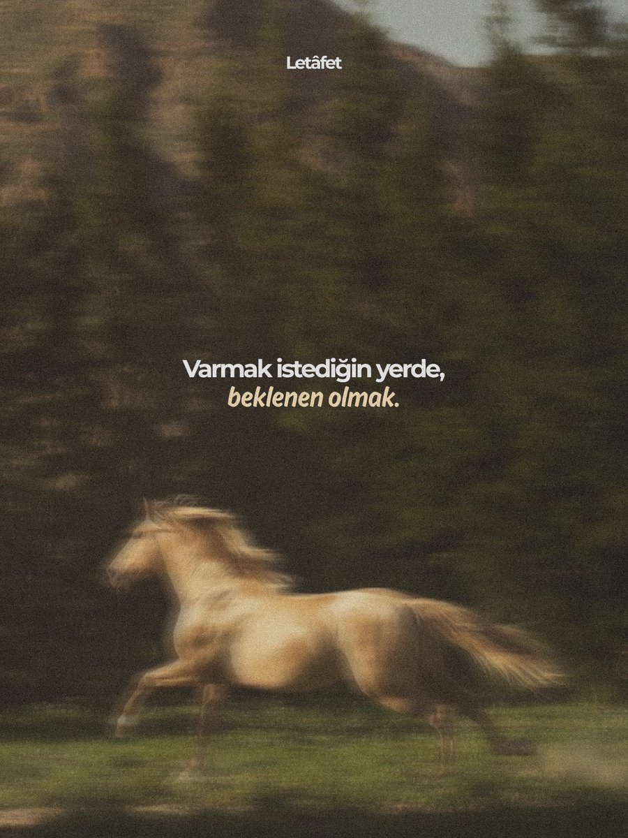 Letâfet (@letafetx) on Twitter photo 